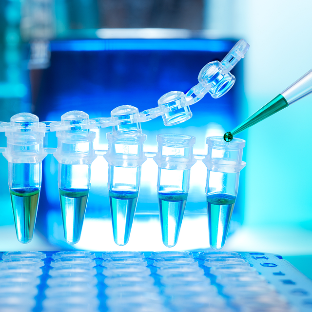 N,N'-雙(3-氨丙基)-乙撐二胺(N4胺)CAS No:10563-26-5，高性能環氧固化劑應用于復合材料