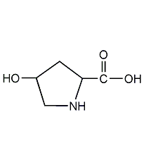 l-4-羥基脯氨酸